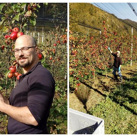 Agriturismo Pian Dei Tass Barcis Luaran gambar