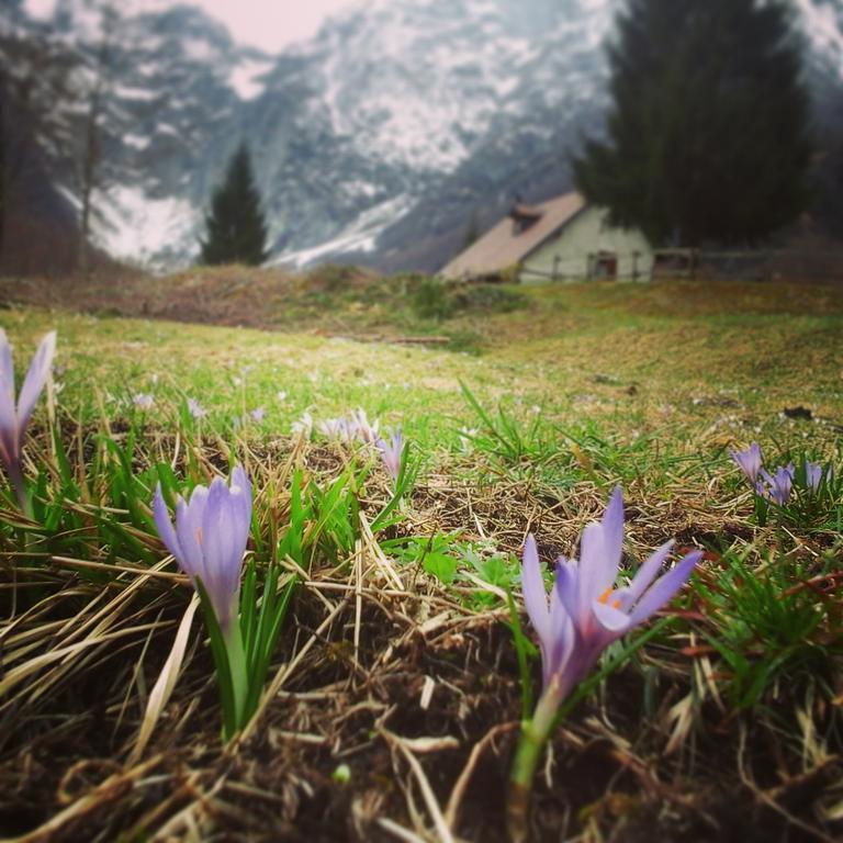 Agriturismo Pian Dei Tass Barcis Luaran gambar
