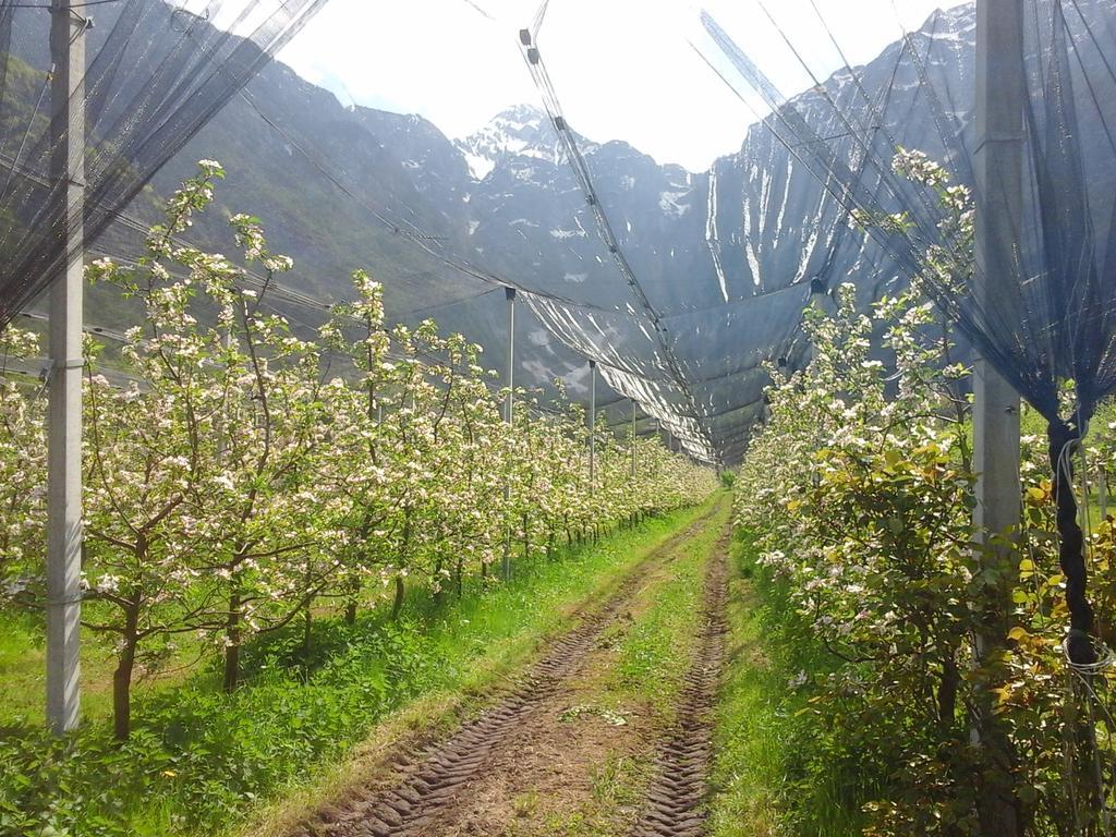 Agriturismo Pian Dei Tass Barcis Luaran gambar